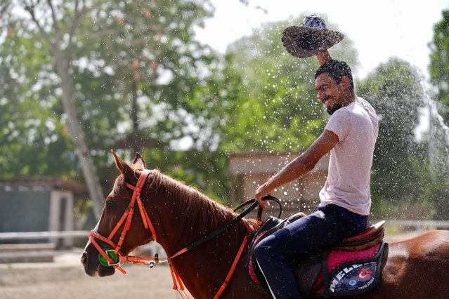 The race horses at a farm are being washed with cold water by the grooms to cool off due to the temperatures reaching 38 degrees Celsius in Duzce, Turkiye on June 11, 2024. The hot weather also affected daily life negatively in Duzce. (Photo by Omer Urer/Anadolu via Getty Images)