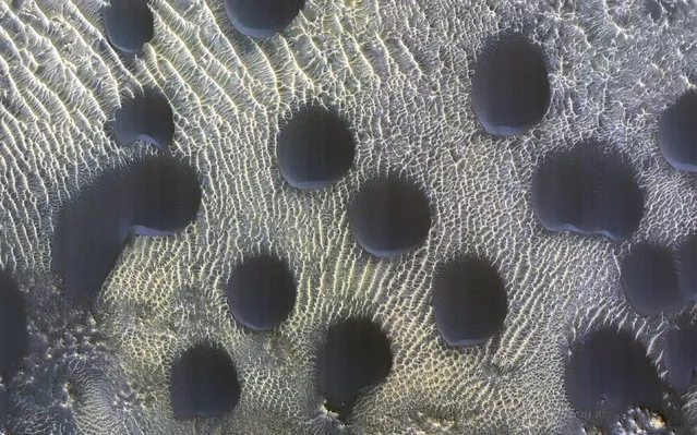 An undated image from NASA's Mars Reconnaissance Orbiter shows circular sand dunes on the surface of Mars, in this handout image obtained by Reuters on March 14, 2023. (Photo by NASA/Jpl-Caltech/University of Arizona/Handout via Reuters)