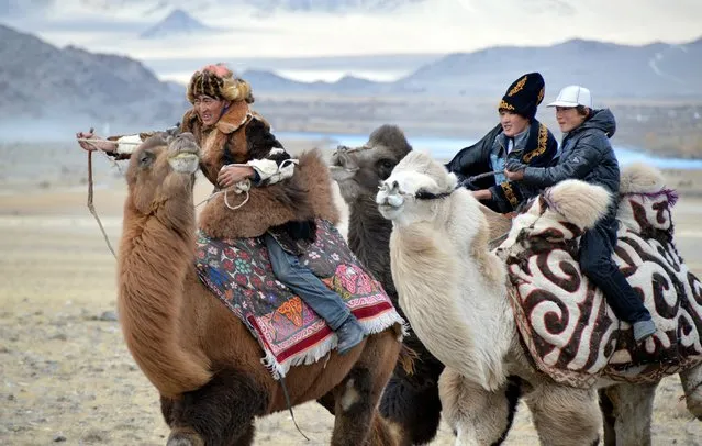 The camel race in the games at the Eagle Hunting Festival in Olgiy, Mongolia. (Photo by Brad Ruoho/The Star Tribune)