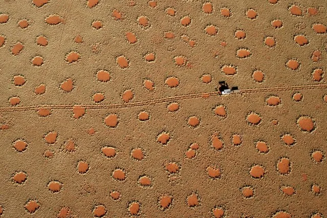 “Fairy Tale Circles from above”. What a magic moment on our honeymoon trip – sunrise in the namibian desert and all these fairy tale circles from a ballon's perspective. Wow! Location: Namib desert, Namibia. (Photo and caption by Bruno Kaeslin-Kuemmelberg/National Geographic Traveler Photo Contest)