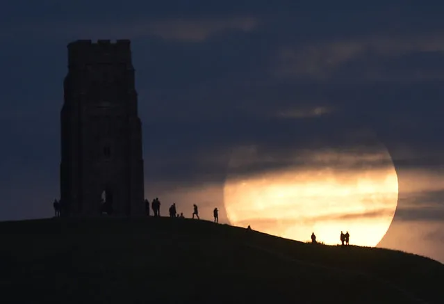 The moon rises near Glastonbury Tor a day before the “supermoon” spectacle, in Glastonbury, Britain November 13, 2016. (Photo by Rebecca Naden/Reuters)