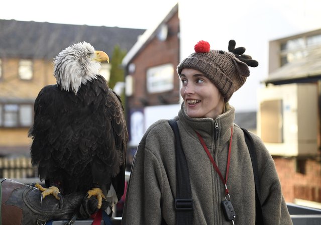 Britain Football Soccer, Crystal Palace vs Southampton, Premier League, Selhurst Park on December 3, 2016. Fan with a eagle outside the stadium before the game. (Photo by Tony O'Brien/Reuters/Action Images/Livepic)