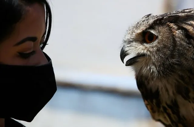 Falconer Giovanna Piccolo performs with her Eurasian eagle-owl at “Roma World” theme park, during the coronavirus disease (COVID-19) pandemic, in Rome, Italy on May 9, 2021. (Photo by Yara Nardi/Reuters)