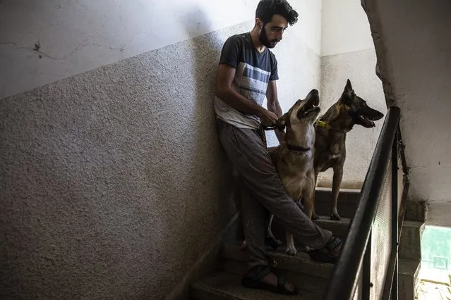 A man and his dogs take shelter in the stairwell of his apartment building as a siren sounds a warning of incoming rockets fired from the Gaza Strip, In Ashdod, Israel, Wednesday, May 19, 2021. (Photo by Heidi Levine/AP Photo)