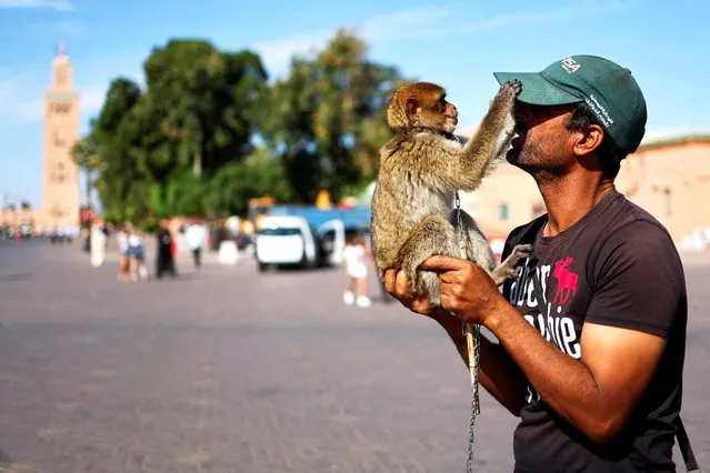 An entertainer plays with a monkey on the Jamaa El-Fna square, with the El Koutoubia mosque in the background, that is still standing after the deadly earthquake, in Marrakech, Morocco pn September 17, 2023. (Photo by Ammar Awad/Reuters)