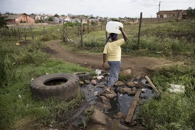 A woman carries water after collecting from a tank as water to homes has been cut off due to the drought in KwaMsane, northeast of Durban, January 20, 2016. (Photo by Rogan Ward/Reuters)