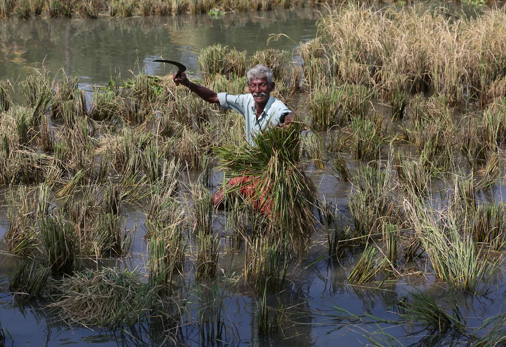 A Look at Life in India