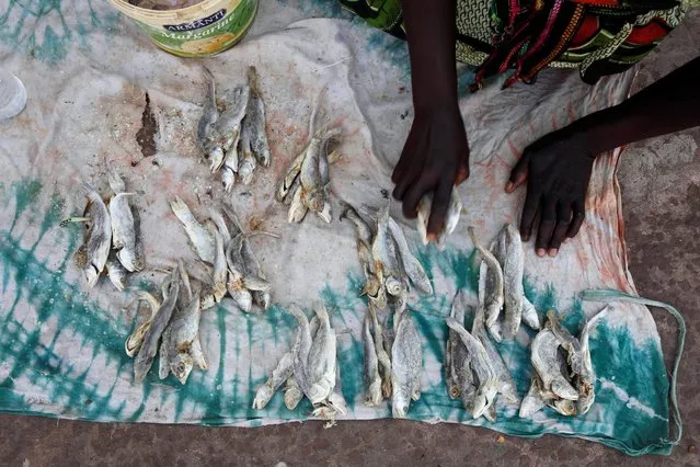 A woman puts dry fish on a cloth at a market in Serekunda, Gambia, December 3, 2016. (Photo by Thierry Gouegnon/Reuters)