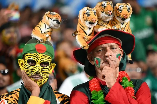 Bangladesh fans react while watching the 2023 ICC Men's Cricket World Cup one-day international (ODI) match between Pakistan and Bangladesh at the Eden Gardens in Kolkata on October 31, 2023. (Photo by Dibyangshu Sarkar/AFP Photo)