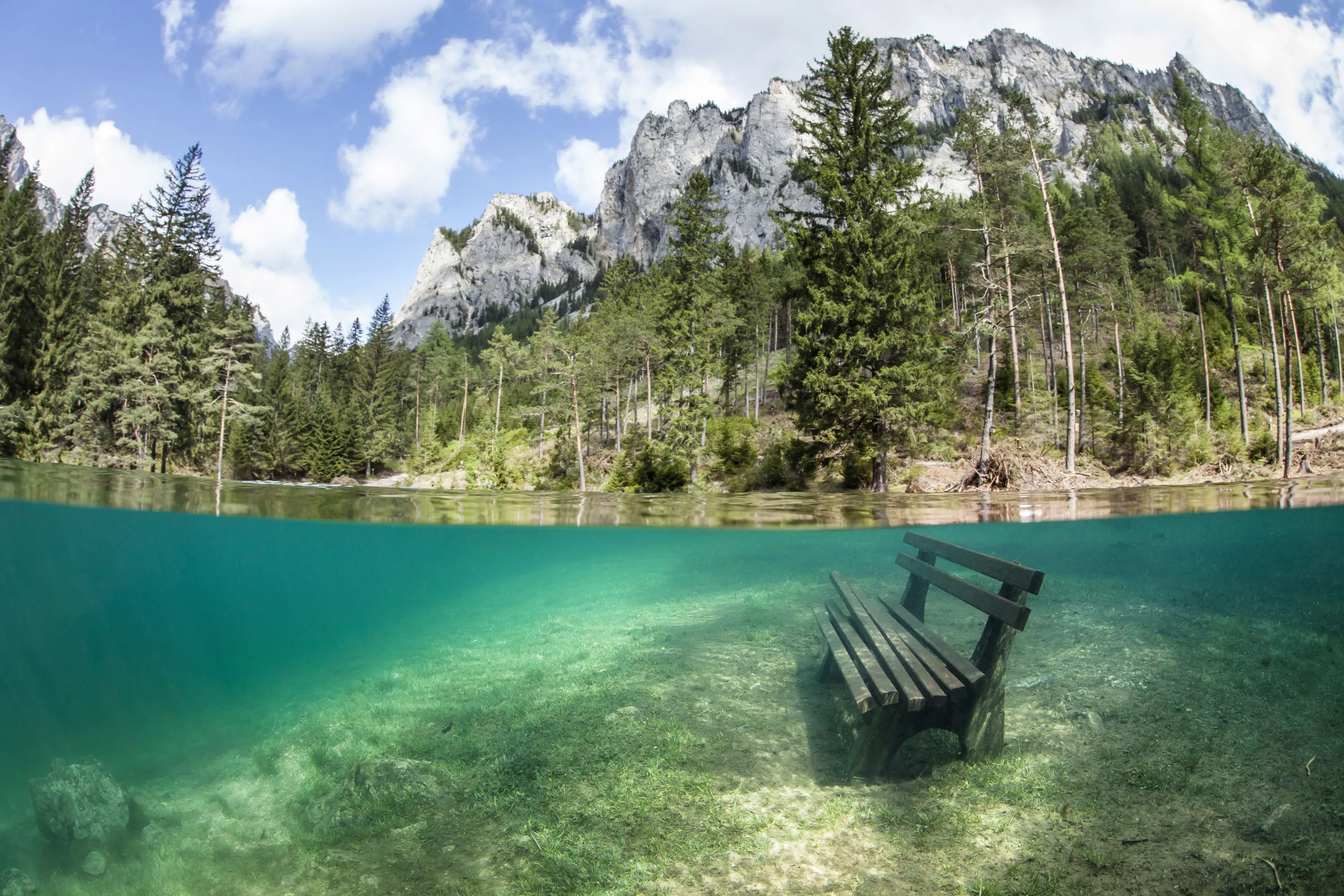 Зеленая вода в озере. Озеро Грюнер Австрия. Зеленое озеро Грюнер Зее. Парк Грюнер Зее Австрия. Парк зеленое озеро в Австрии.