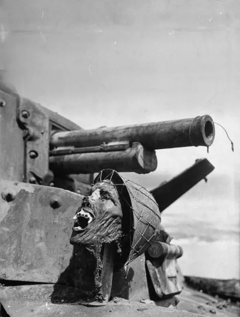 Gruesome severed head of a napalmed Japanese soldier propped up below gun turret of a disabled Japanese tank, February 01, 1943. (Photo by Ralph Morse/The LIFE Picture Collection/Getty Images)