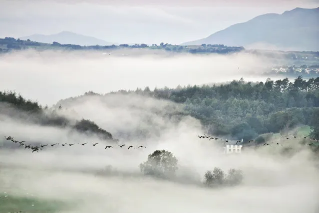 Morning mist cloaks the meandering Eden Valley in Cumbria, England this morning on September 23, 2018, where the Lakeland fells bathe in sunshine from the rising sun, the first hints of Autumn are seen above the water of the River Eamont. (Photo by Paul Kingston/North News and Pictures)