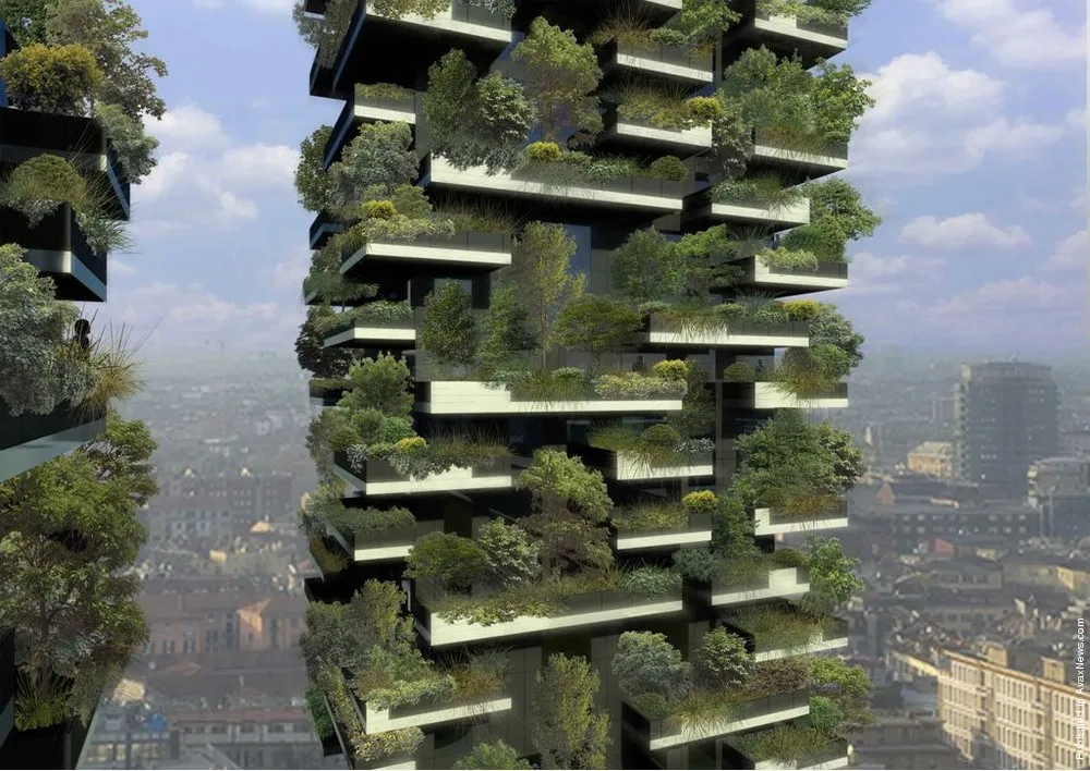 The World's First “Forest In The Sky”