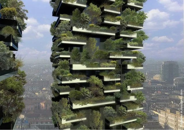 World's first forest in the sky, the Bosco Verticale green twin towers