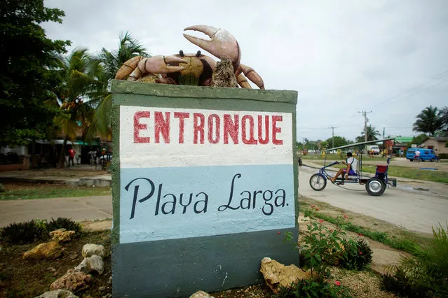A giant crab monument is seen over a sign at the entrance of Playa Larga, Cuba on April 25, 2017. (Photo by Alexandre Meneghini/Reuters)