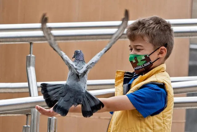 A child plays with a pigeon during a protest of the Ukranian community against the Russian invasion in Ukraine, in San Jose, Costa Rica, on March 4, 2022. Ukraine and the West expressed fury on Friday after Europe's largest atomic power plant was attacked and seized by invading Russian forces, which continued to shell major cities. (Photo by Ezequiel Becerra/AFP Photo)