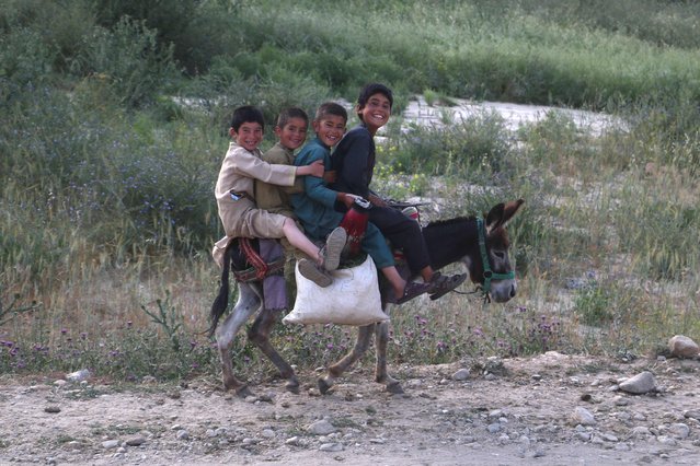 Afghan boys ride a donkey along a street in Khash district of Badakhshan Province on July 8, 2024. (Photo by Omer Abrar/AFP Photo)