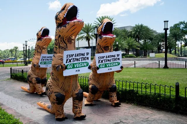 Animal rights activists from the People for the Ethical Treatment of Animals (PETA) in dinosaur costumes hold placards urging people to go vegan, ahead of Earth Day celebration, in Manila, Philippines, April 21, 2022. (Photo by Lisa Marie David/Reuters)