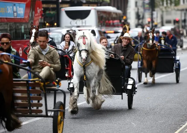 People ride horse drawn carriages along a road in central London, Britain, May 7, 2022. (Photo by Henry Nicholls/Reuters)
