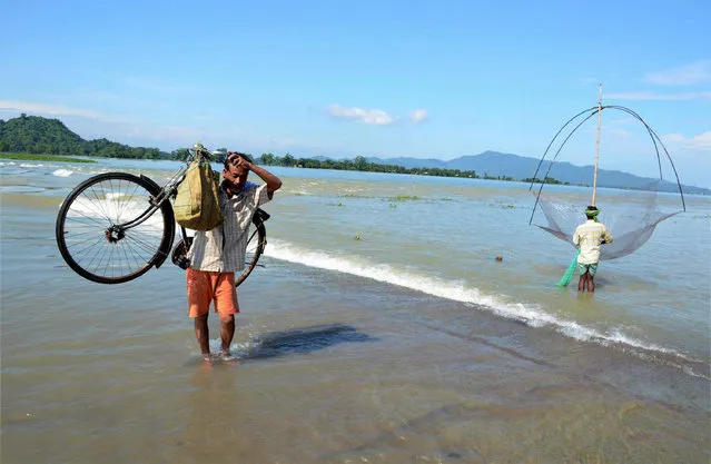 A man carry his bicycle as another catches fish at a flood affected area in Morigaon district of Assam on Friday, July 14, 2017. (Photo by Press Trust of India Photo)