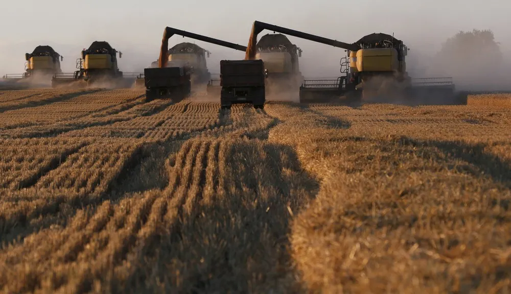 Harvest Time in Russia
