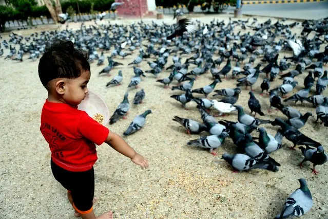 A boy feeds pigeons in Karachi, Pakistan, 14 April 2020. Countries around the world are taking increased measures to stem the widespread of the SARS-CoV-2 coronavirus wh?ich causes the Covid-19 disease. (Photo by Rehan Khan/EPA/EFE)