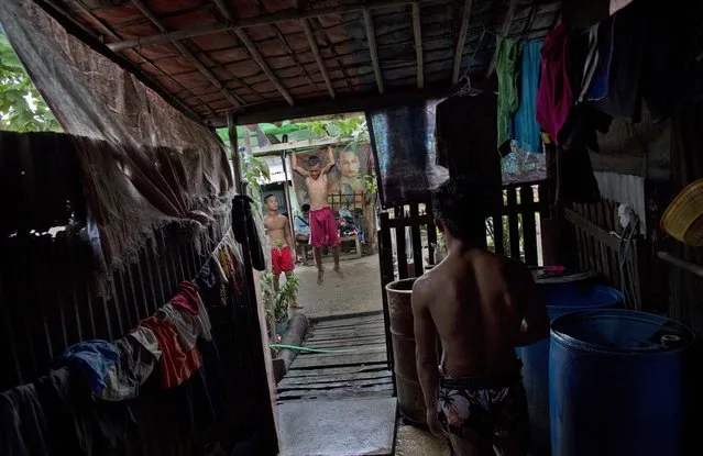 In this Tuesday, July 14, 2015, photo, members of the White New Blood lethwei fighters club, a Myanmar traditional martial-arts club which practices a rough form of kickboxing,  do strengthening exercises as another watches from the verandah of their coach's house at their gym on a street in Oakalarpa, north of Yangon, Myanmar. (Photo by Gemunu Amarasinghe/AP Photo)