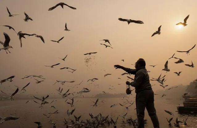 A man feeds birds amidst heavy smog on the banks of Yamuna river in the old quarters of Delhi, India on November 4, 2022. (Photo by Adnan Abidi/Reuters)