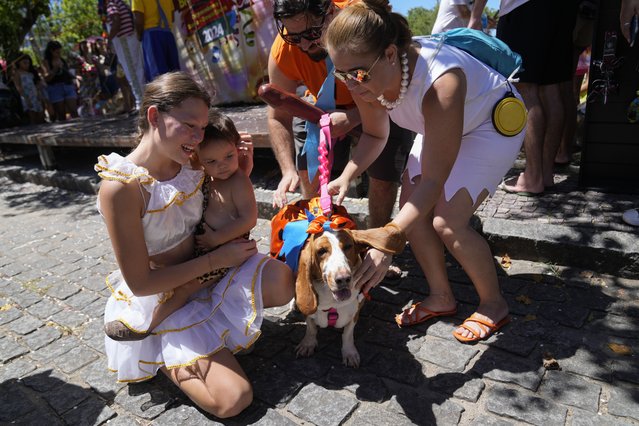 Revelers pet a costumed dog during the “Blocao” dog Carnival parade in Rio de Janeiro, Brazil, Saturday, February 10, 2024. (Photo by Silvia Izquierdo/AP Photo)