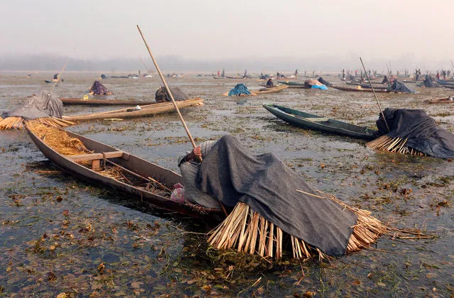 Fishermen cover their heads and part of their boats with blankets and straw as they wait to catch fish in the waters of the Anchar Lake on a cold winter day in Srinagar December 28, 2017. (Photo by Danish Ismail/Reuters)