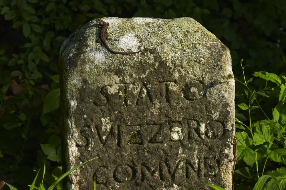 All Along The Border