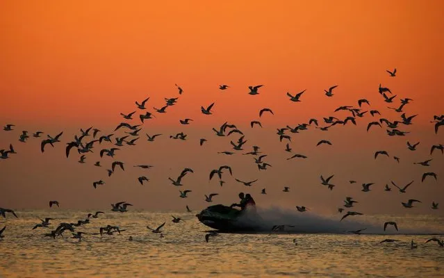Birds are scattered as a jetskier powers across the sea on a beautiful end to the day just before sunset at Heacham in Norfolk, UK on September 1, 2020. (Photo by Paul Marriott/Rex Features/Shutterstock)