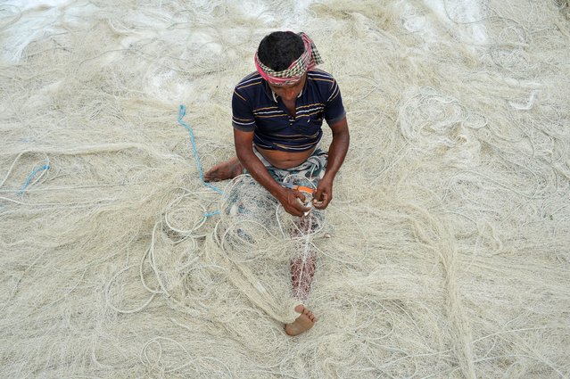 Fishermen repair and weave specialized Pocket Nets for catching Hilsa fish on the banks of the Karnaphuli River in the city Chittagong, Bangladesh on June 30, 2025. Bangladeshi fishermen have been busy since June 11 after withdrawn of the government imposed a 58-day ban on hilsa breeding and protecting marine biodiversity. (Photo by Md Rafayat Haque Khan/ZUMA Press Wire/Rex Features/Shutterstock)