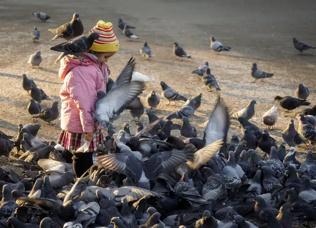 A girl feeds pigeons in a park in Almaty, Kazakhstan November 23, 2017. (Photo by Shamil Zhumatov/Reuters)