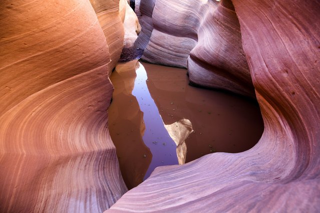 Muddy water fills a small slot canyon in the proposed Bear Ears National Monument near Fry Canyon, Utah, USA, 12 November 2016. (Photo by Jim Lo Scalzo/EPA)