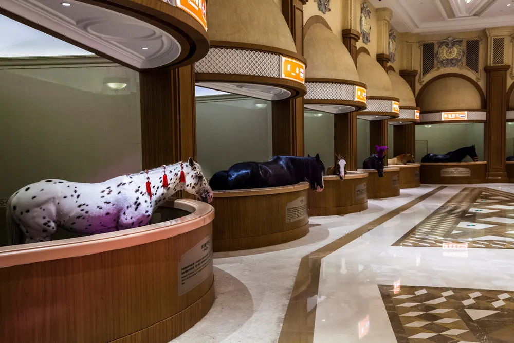 A Look at Life in China