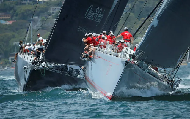 The yacht Wild Oats XI (R) leads Scallywag on its way to winning the Big Boat Challenge on Sydney Harbour December 13, 2016, before the annual Sydney to Hobart Yacht race to be held on December 26. (Photo by Jason Reed/Reuters)