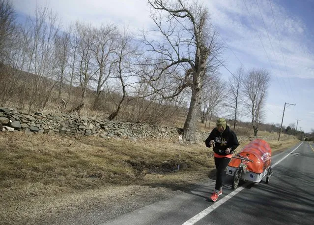 Sixty-eight year old cross-country runner Rosie Swale-Pope struggles with an uphill grade on U.S. Route 50 while pulling her cart, “The Icebird”, in Upperville, Virginia March 13, 2015. (Photo by Gary Cameron/Reuters)