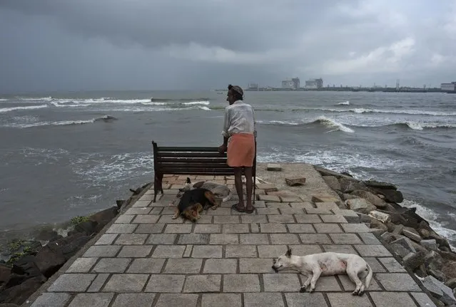 A man stands leaning on a bench as stray dogs sleep at a beach on the Arabian Sea coast in Kochi, Kerala state, India, Saturday, September 18, 2021. Beaches and parks in the state that had been closed to prevent the spread of the coronavirus were reopened to public on Tuesday. (Photo by R.S. Iyer/AP Photo)