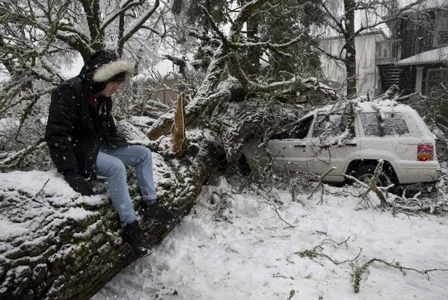 Colin Kearney sits on the tree that fell across his car that he had parked on 12th Street in Eugene, Ore., early Monday, February 25, 2019, after several inches of snow fell in the area. (Photo by Andy Nelson/The Register-Guard via AP Photo)
