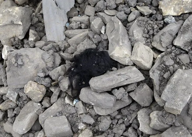 Remains of of black hair belonging to a 10-year-old girl  that died in the earthquake and was cremated last night, seen amid rubble in the Kumalpur village, on the outskirts of capital Kathmandu, Nepal, 27 April 2015. Kumalpur village is a small village town situated north of Kathmandu where 9 people including 4 children were killed. (Photo by Narendra Shrestha/EPA)