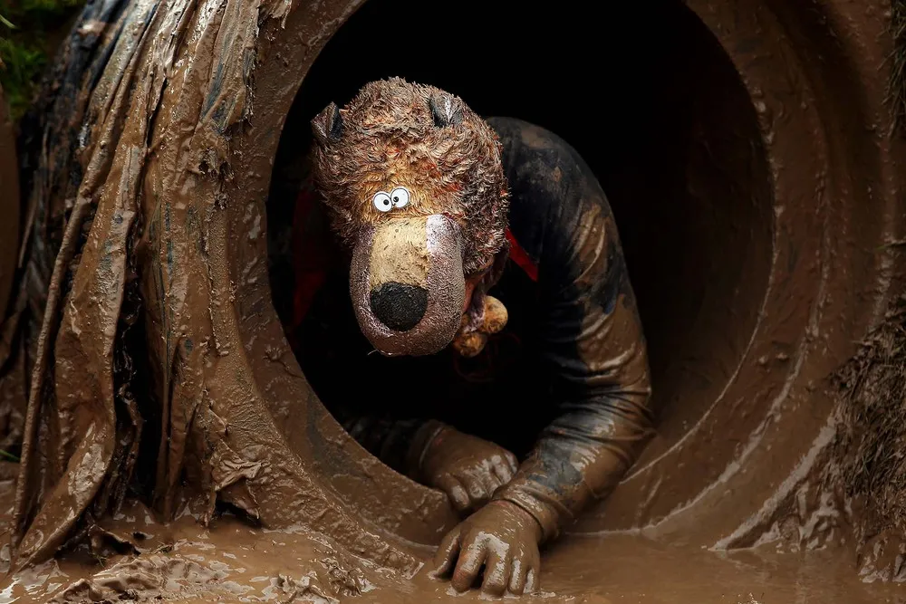 The Week in Pictures: January 26 – January 31, 2014. Part 2/2