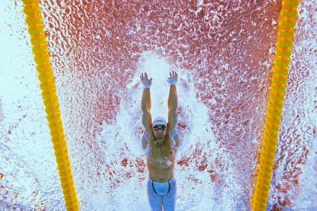Trinidad and Tobago's Dylan Carter competes in the final of the men's 50m butterfly swimming event during the 2024 World Aquatics Championships at Aspire Dome in Doha on February 12, 2024. (Photo by Oli Scarff/AFP Photo)
