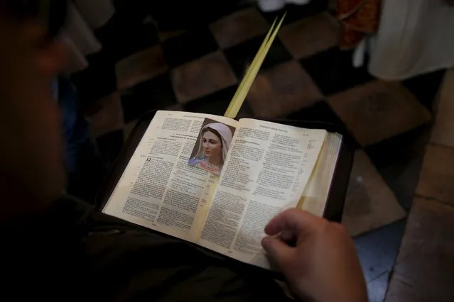 A worshipper holds an opened Bible during a Palm Sunday procession at the Church of the Holy Sepulchre in Jerusalem's Old City March 20, 2016. (Photo by Amir Cohen/Reuters)