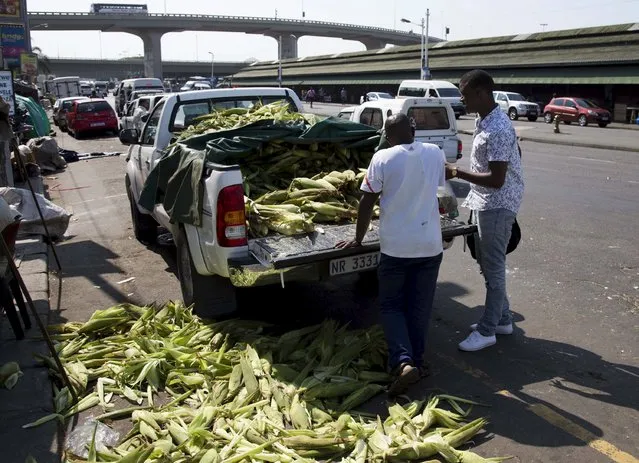 A trader sells mealies to a commuter in Durban, South Africa, April 19, 2016, as food prices continue to rise due to drought conditions. (Photo by Rogan Ward/Reuters)