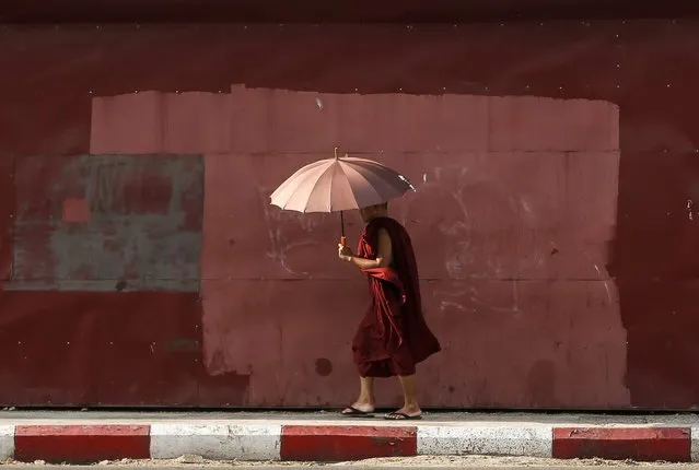 A Buddhist monk uses an umbrella to protect himself from the sun on a hot summer's day in Yangon, Myanmar, 26 April 2016. (Photo by Lynn Bo Bo/EPA)