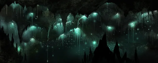 Waitomo Glowworm Caves New Zealand