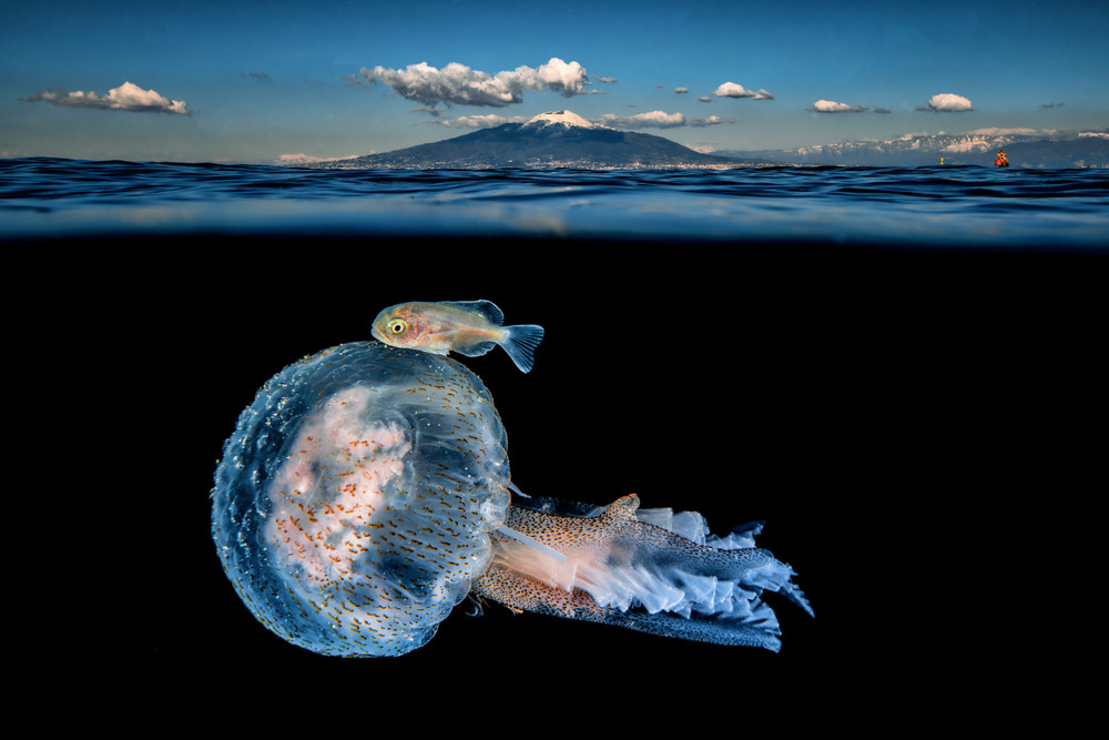 Some Photos: Waterworld