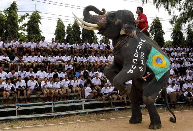 A Thai mahout guides his elephant to entertain schoolchildren during the break at a soccer match between men and elephants to celebrate the 2014 FIFA World Cup Brazil in Ayutthaya province, central Thailand, June 9, 2014. (Photo by Apichart Weerawong/Associated Press)
