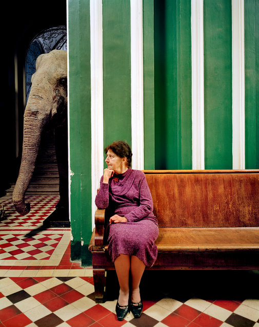 The director of Moscow’s zoological museum sits by a stuffed elephant which never found its way to its planned place among the exhibits. Because of its weight, the creature has always stood on the ground floor next to the ticket point. (Photo by by Frank Herfort/The Guardian)
